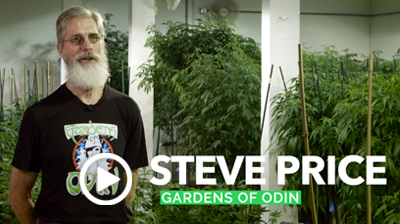 sm-Steve-Price-Gardens-of-Odin_Play.jpg